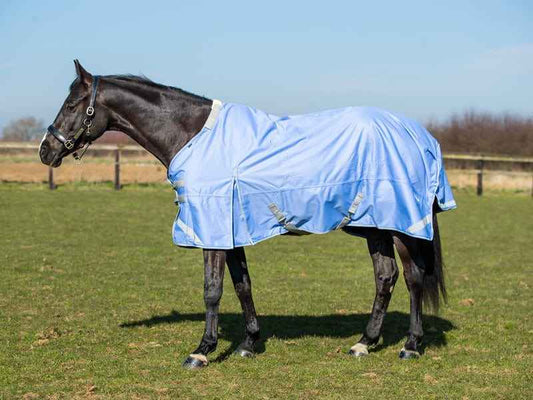 100g Detachable Neck Turnout Rug - Cornflower - Pet Supplier Store
