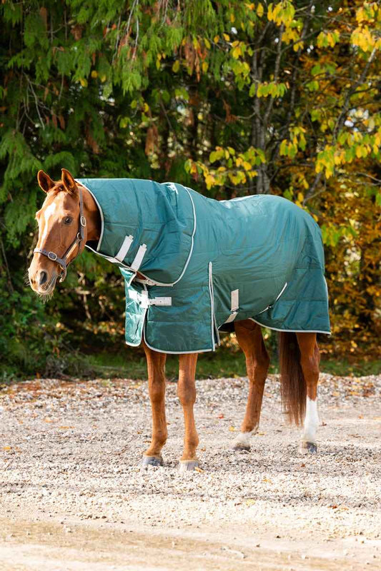 100g Stable Rug With Detachable Neck - Hunter Green - Pet Supplier Store