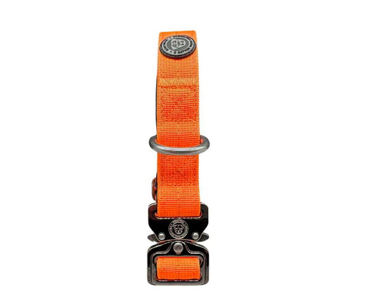 2.5cm Nylon BTacticalâ„¢ Collar | Citrus Orange - Pet Supplier Store