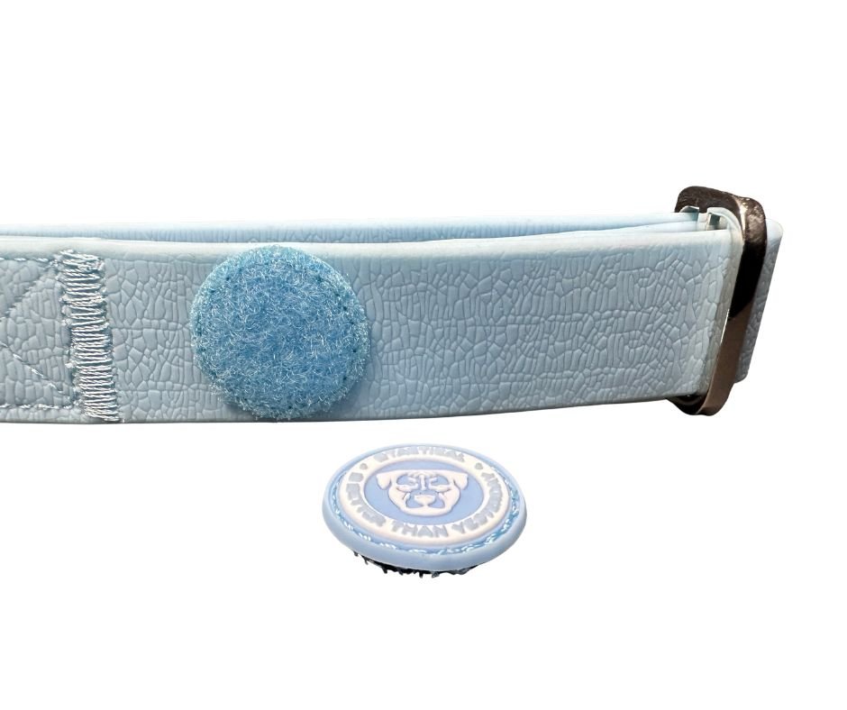 2.5cm PVC BTactical™ Collar | Pastel Blue - Pet Supplier Store