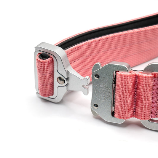 4cm Nylon BTacticalâ„¢ Collar | Pretty Pink - Pet Supplier Store