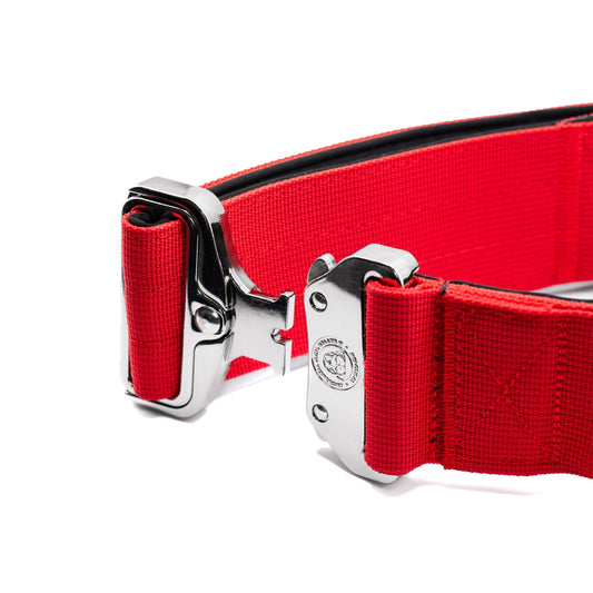 5cm Nylon BTacticalâ„¢ Collar | Citrus Red - Pet Supplier Store