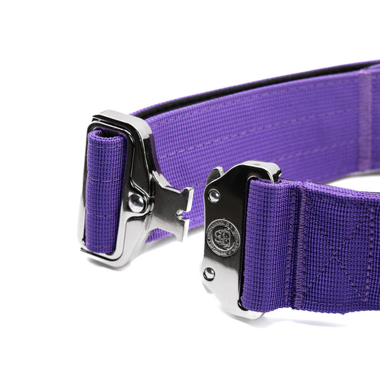 5cm Nylon BTacticalâ„¢ Collar | Lavender Purple - Pet Supplier Store