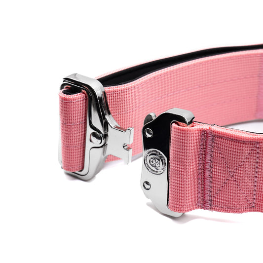 5cm Nylon BTacticalâ„¢ Collar | Pretty Pink - Pet Supplier Store