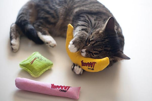 Yeowww! Organic Catnip Pillow For Cats