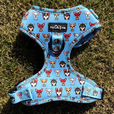 Blue Chihuahua Print Exclusive Small Dog Harness by My Chi and Me