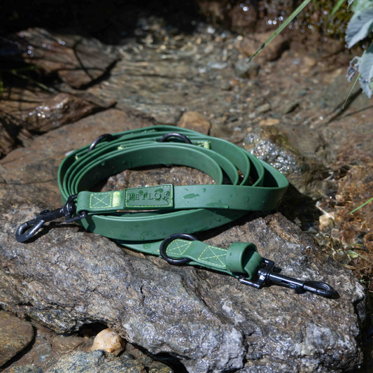 Rufus 3-in-1 Adjustable Dog Leash - Green