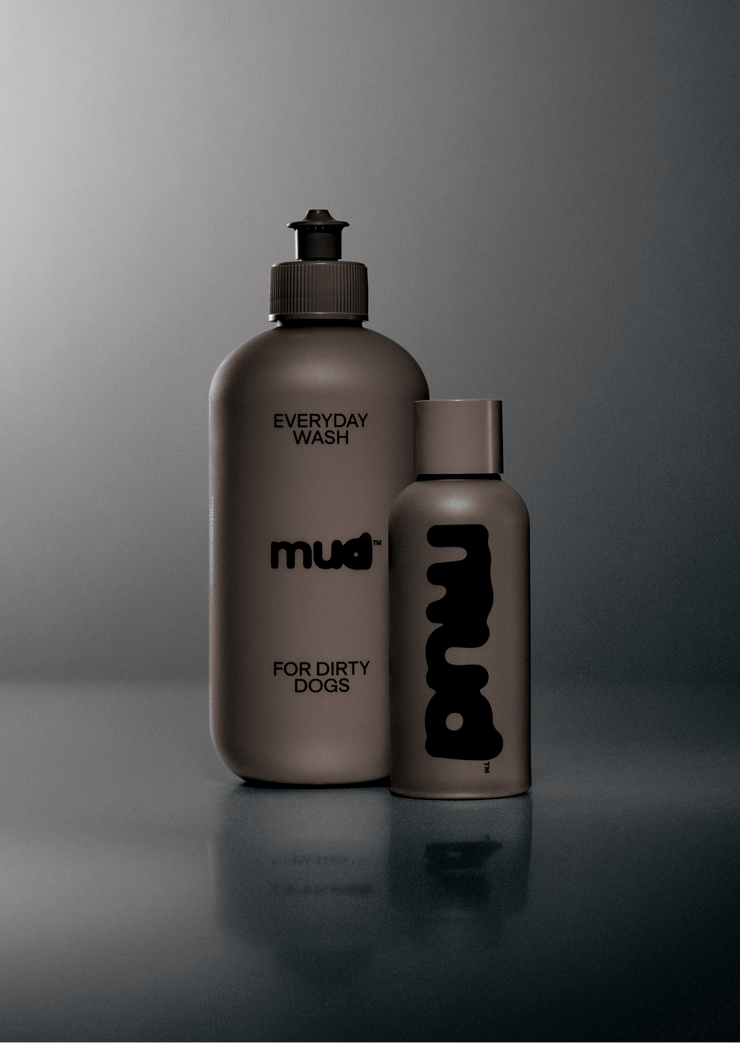 Everyday Wash for Dirty Dogs 400ml