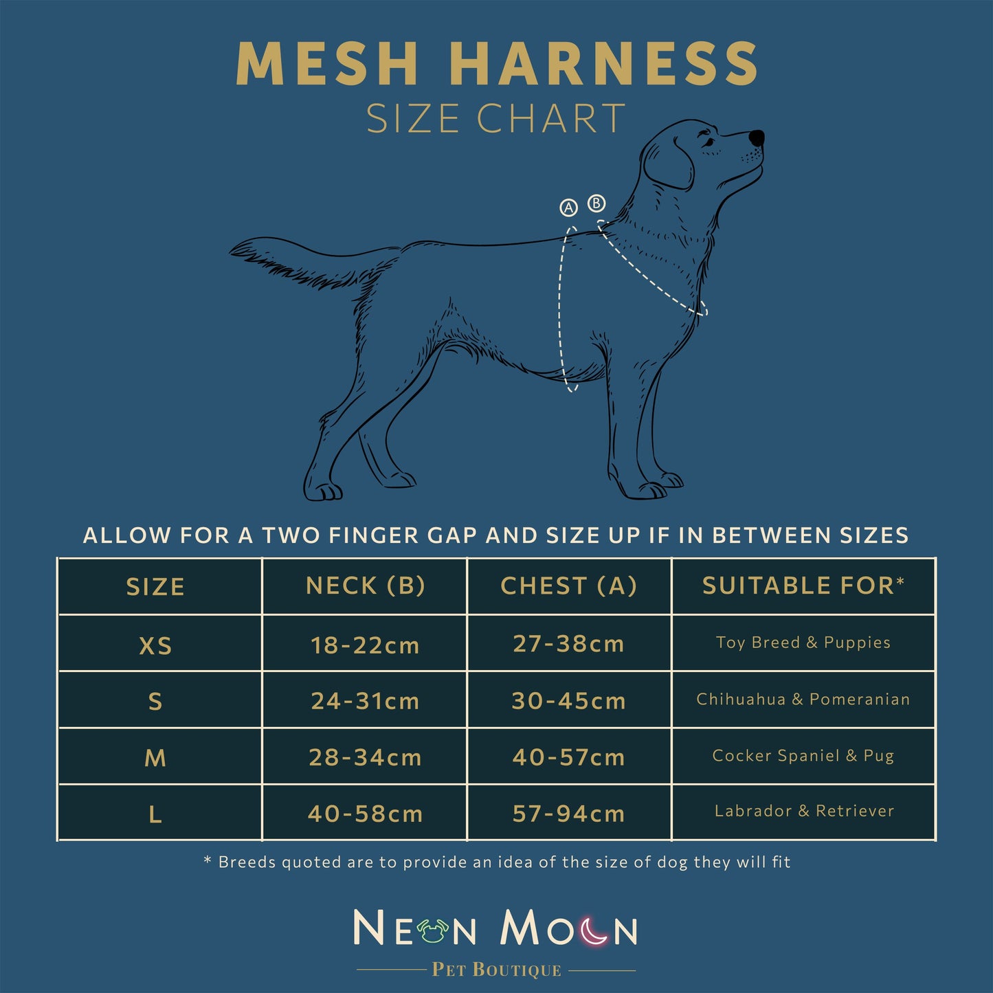 The Tod Mesh Harness