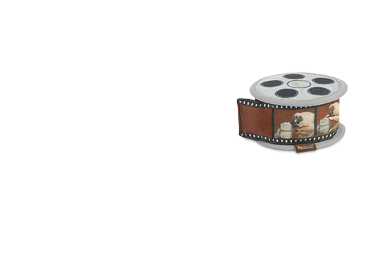 Hollywoof Movie Reel Dog Toy