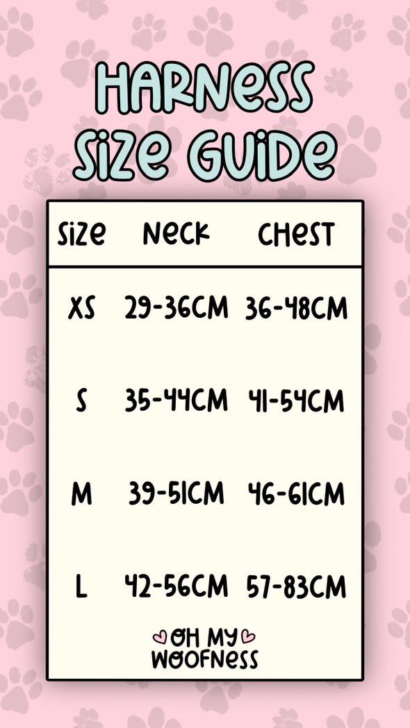 Walk on the Wild Side Harness