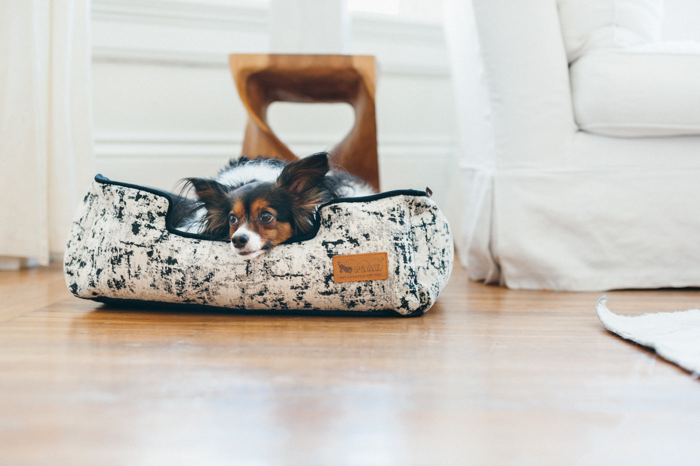 Celestial Night Sky Lounge Bed