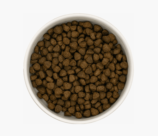Angus Beef - Pet Supplier Store