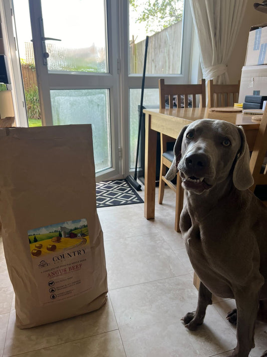 Angus Beef & Carrot - Pet Supplier Store