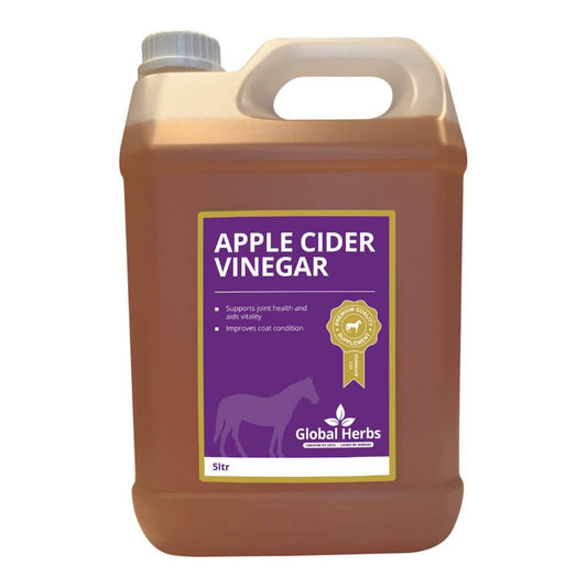Apple Cider Vinegar - Equine - Pet Supplier Store