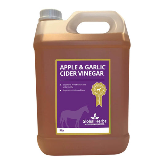 Apple Garlic Cider Vinegar - Equine - Pet Supplier Store