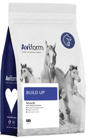 Aviform Build up Equine Muscle Build, Repair & Recovery with added Stamina for Horses - Pet Supplier Store