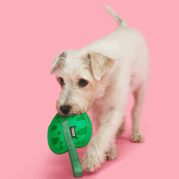 Bark Leaf Thrower Dog Toy - Pet Supplier Store