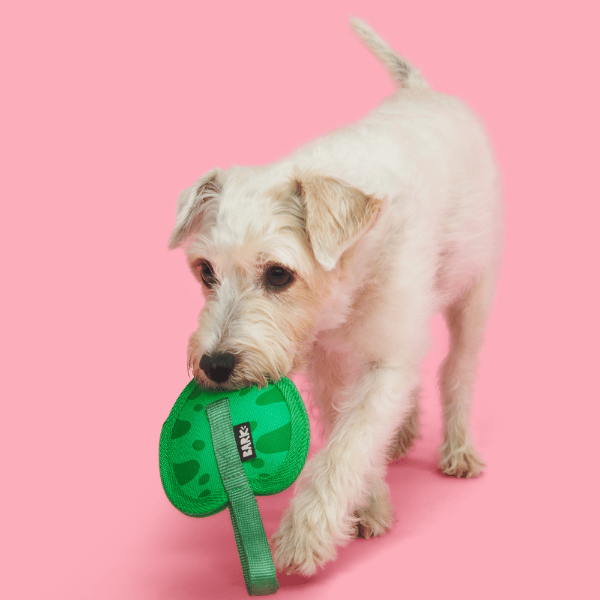 Bark Leaf Thrower Dog Toy