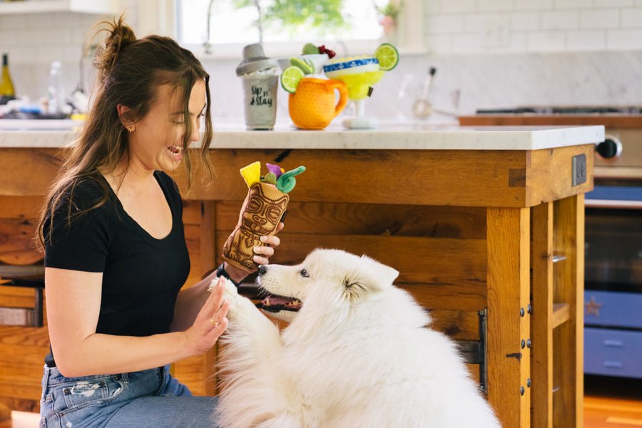 Barktender - Tiki Time - Pet Supplier Store