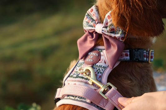 Bella's Jumper Dog Sailor Bow Tie - Pet Supplier Store