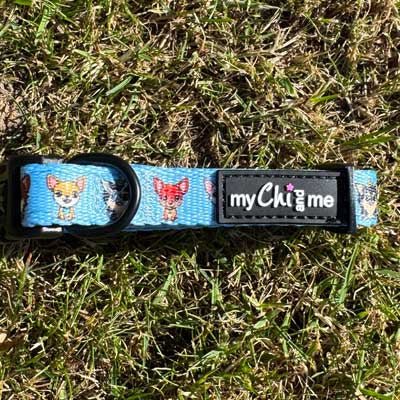 Blue Chihuahua Print Exclusive Designer Collar by My Chi and Me - Pet Supplier Store