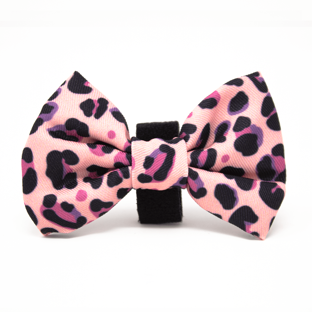 Blushing Leopard Bow Tie - Pet Supplier Store