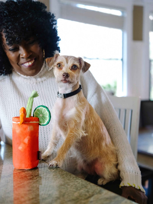 Buddy Mary dog toy - Pet Supplier Store