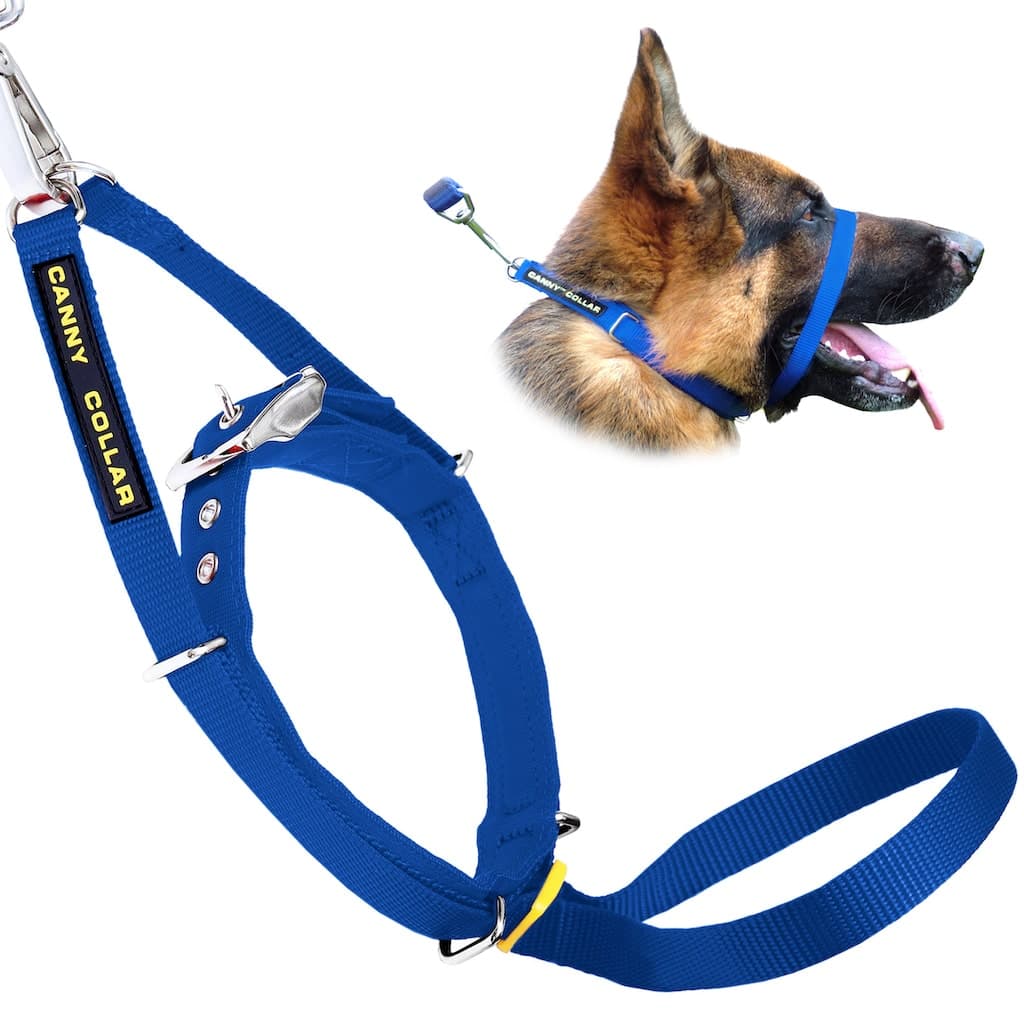Canny Collar - Pet Supplier Store