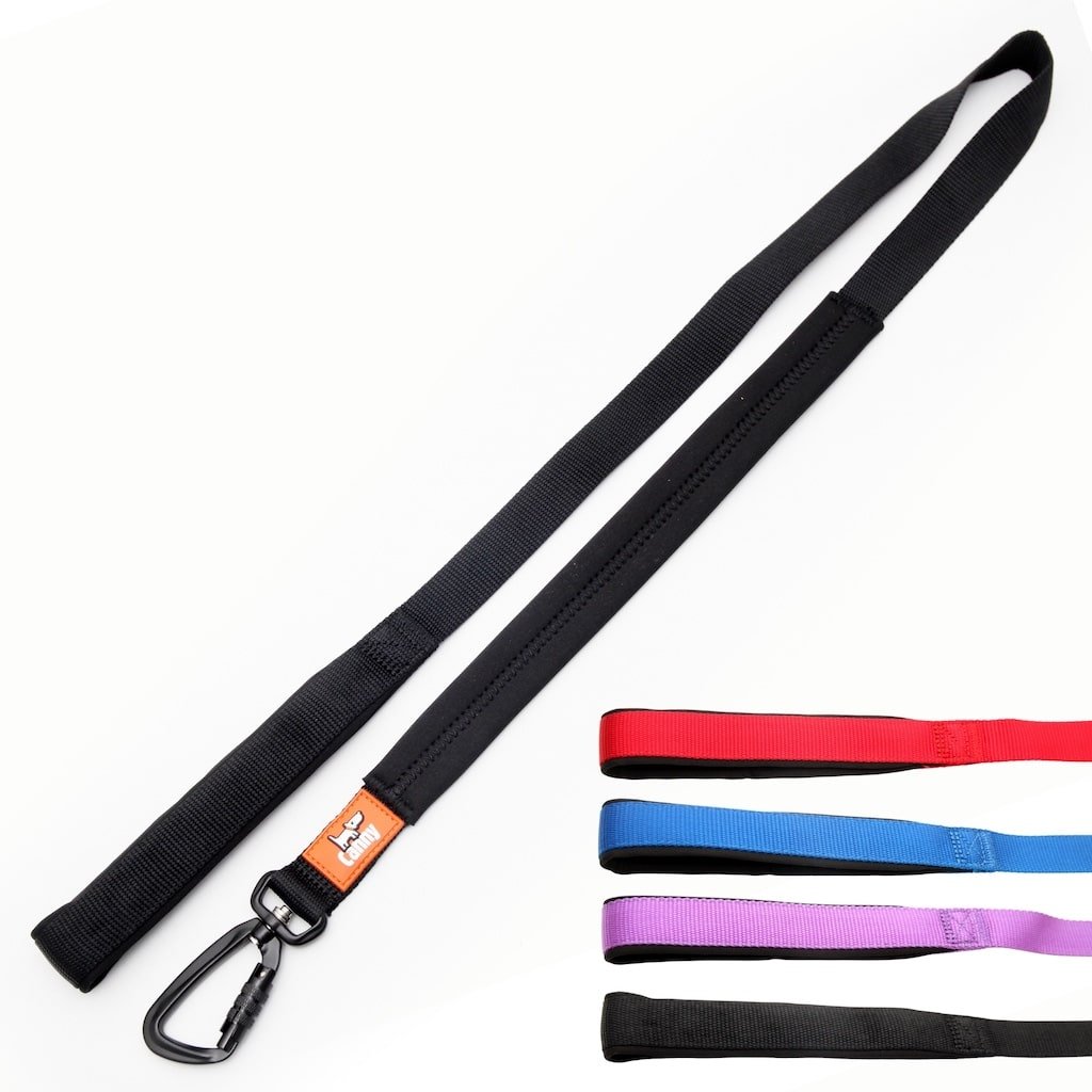 Canny Lead - Pet Supplier Store