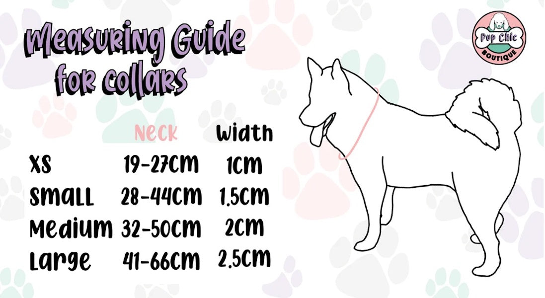 Summer Buzzin’ Dog Collar