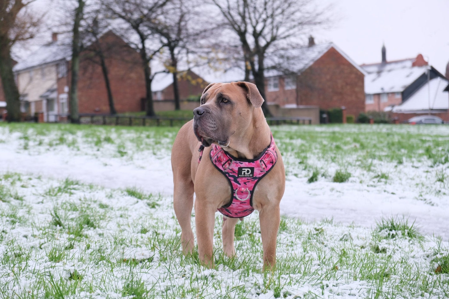 Comfort Harness Pink Camo - Pet Supplier Store