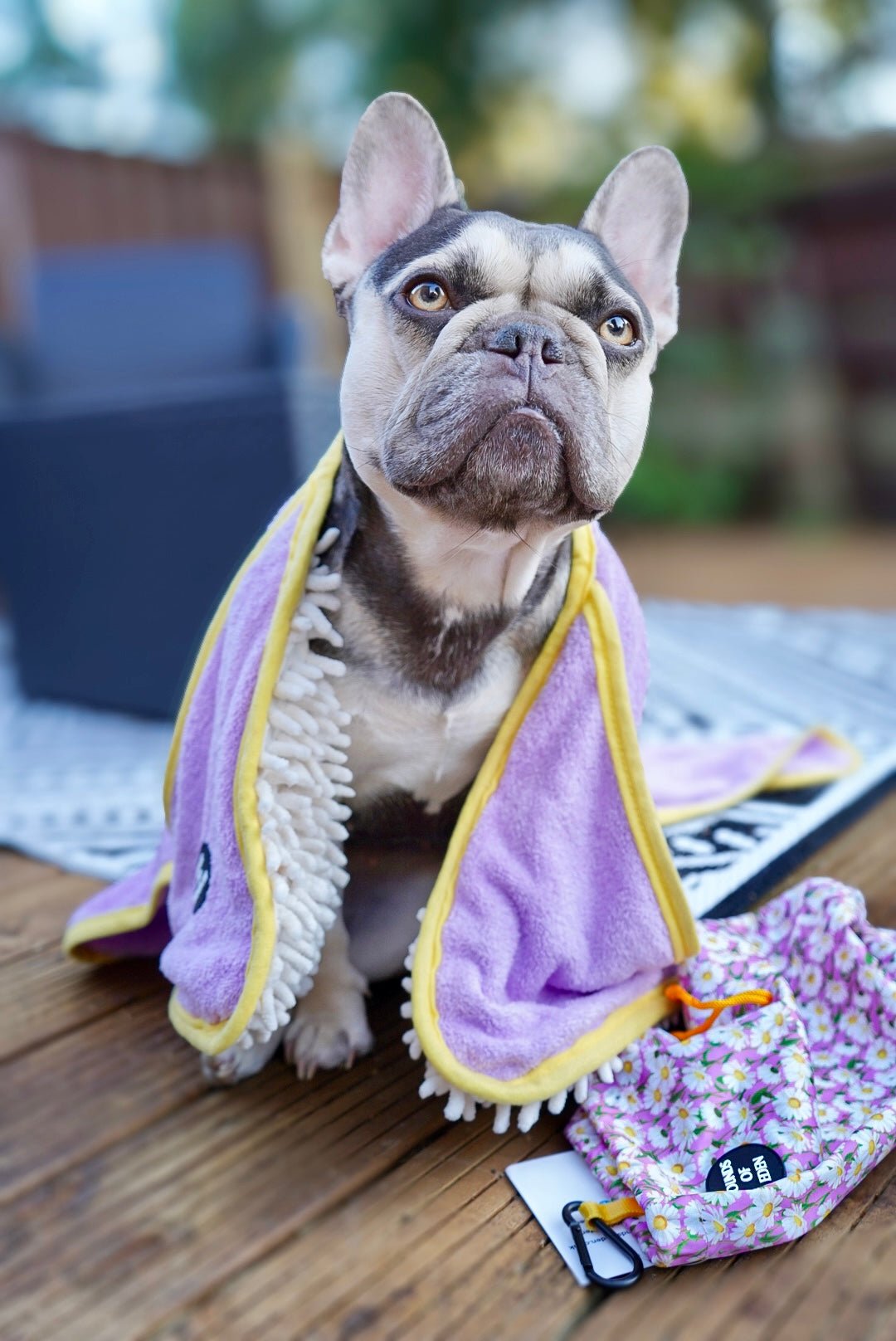Daisy Dreams - Dog Towel + Carry Bag - Pet Supplier Store