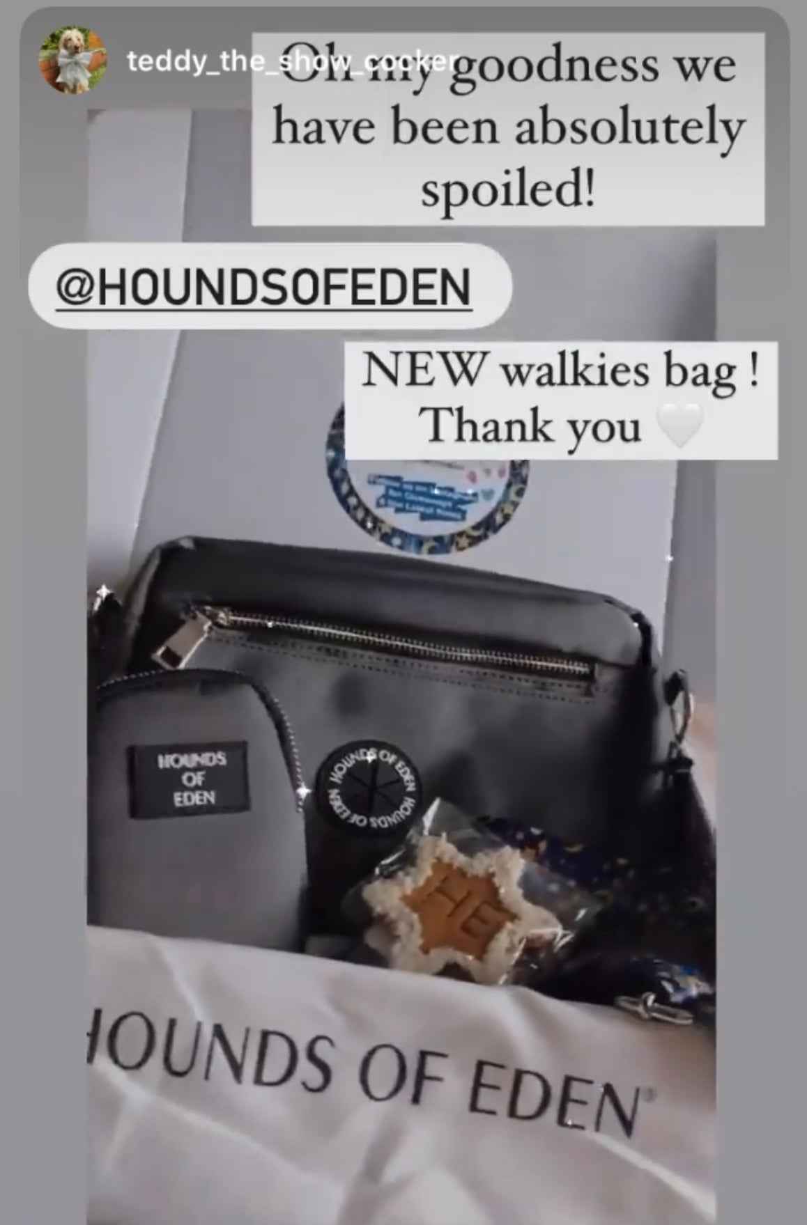 Dog Walking Bag - Grey *BAG ONLY* - Pet Supplier Store