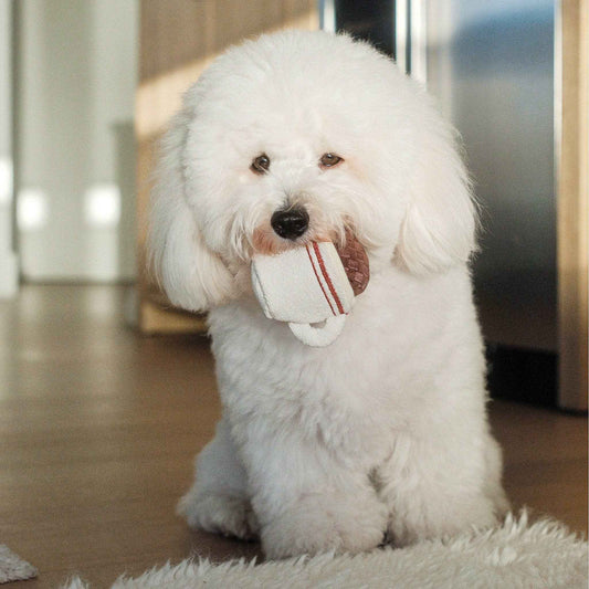 Espresso Pop Enrichment Dog Toy - Pet Supplier Store