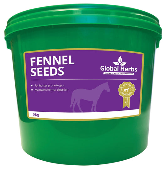 Fennel Seeds - Global Herbs - Pet Supplier Store