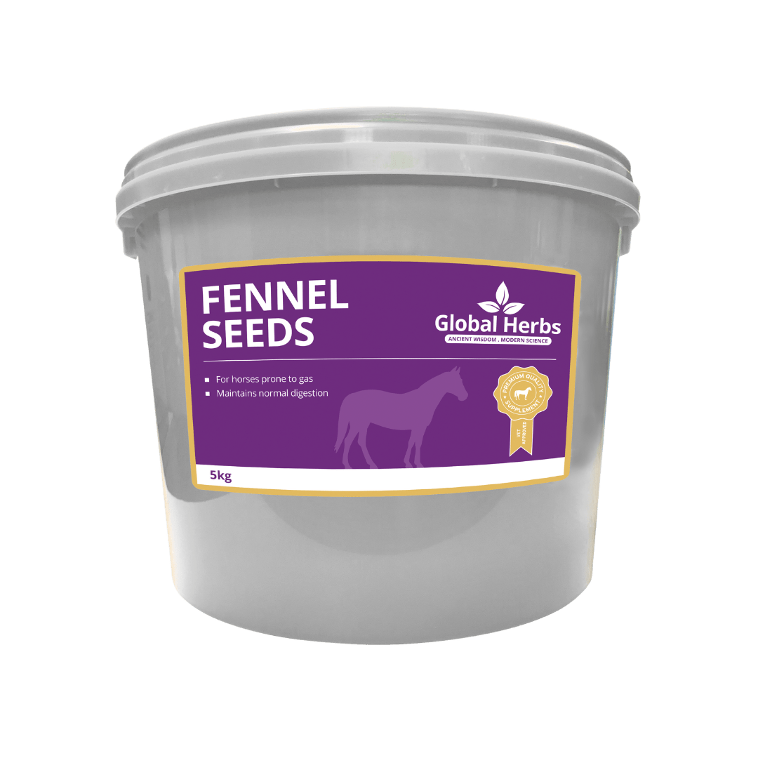 Fennel Seeds - Global Herbs - Pet Supplier Store