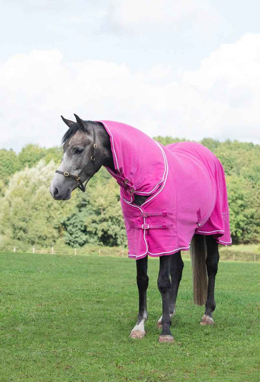 Fleece Rug With Neck Cover - Berry - Pet Supplier Store