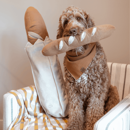 Giant Baguette enrichment dog toy - Pet Supplier Store