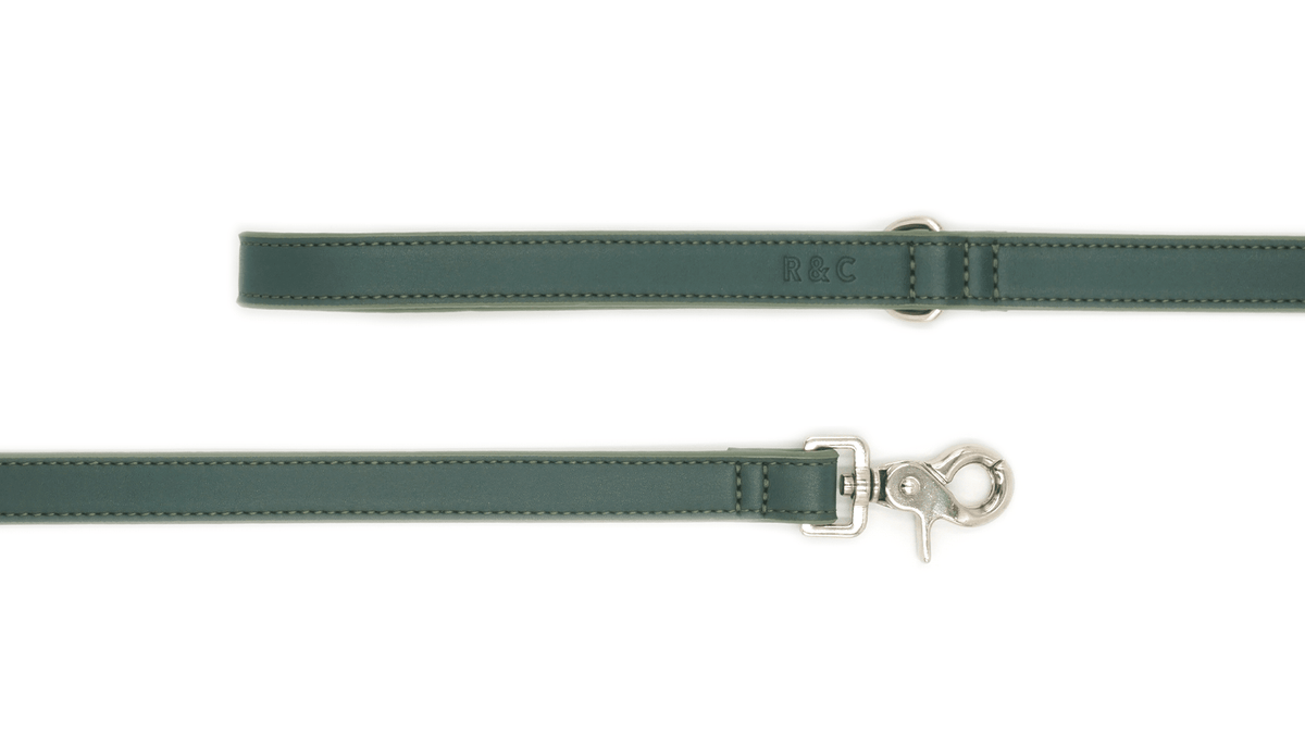 Green Leather Dog Lead - Pet Supplier Store