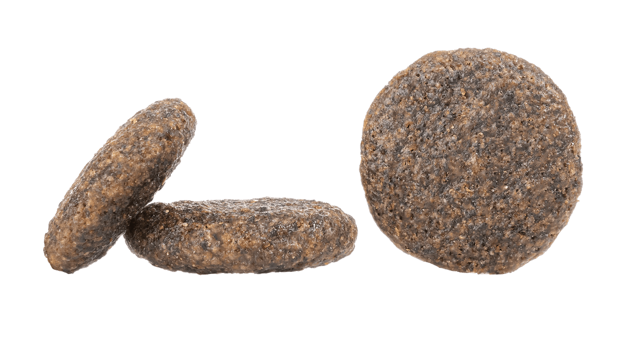 Happy Dog Karibik (Carribbean) Dog food - Pet Supplier Store