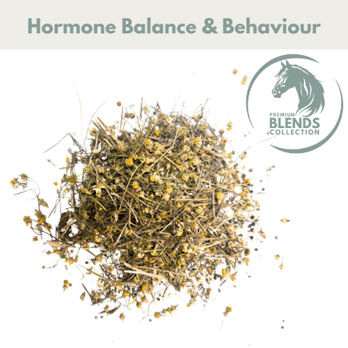 Hormonal Support Blend - Pet Supplier Store