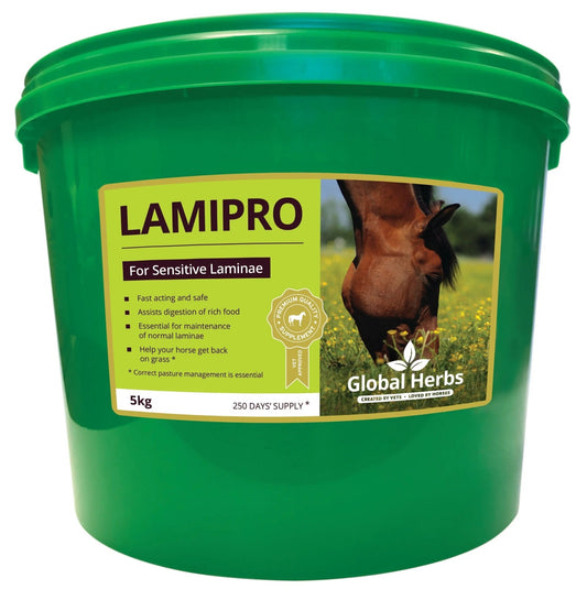 LamiPro - Global Herbs - Pet Supplier Store