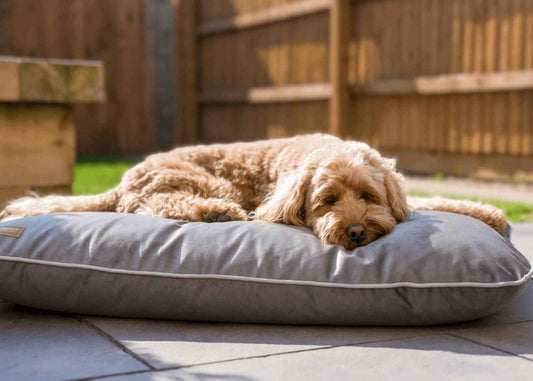 Luxury Memory Foam Crate Bed With Removable Covers | Grey - Pet Supplier Store