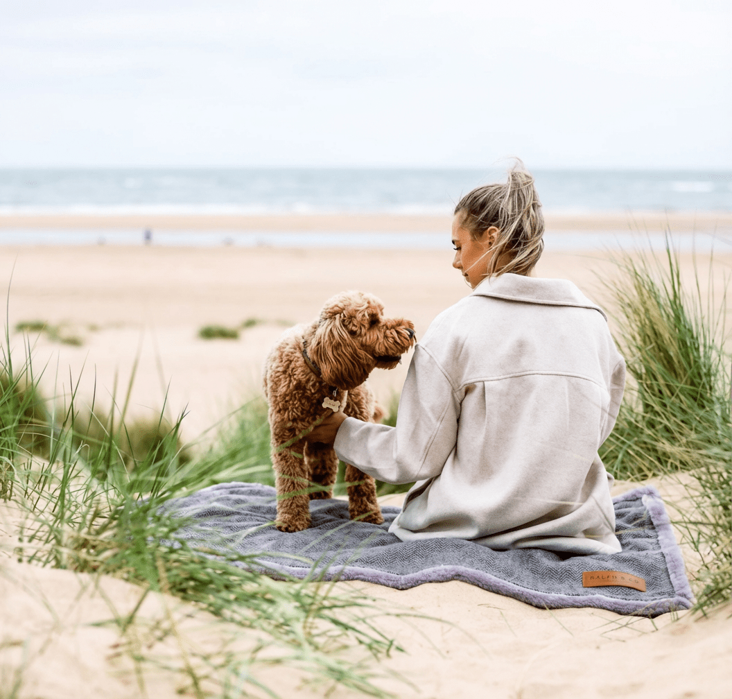 Luxury Washable Herringbone Dog Blanket | Balmoral - Pet Supplier Store