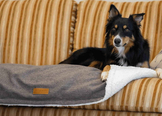 Luxury Washable Tweed Dog Blanket | Lincoln - Pet Supplier Store