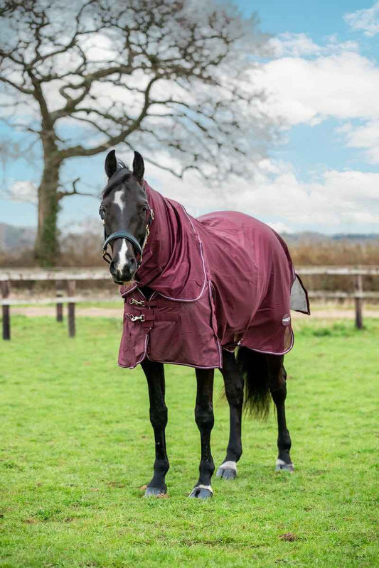 Mesh Fly Rug - Burgundy - Pet Supplier Store