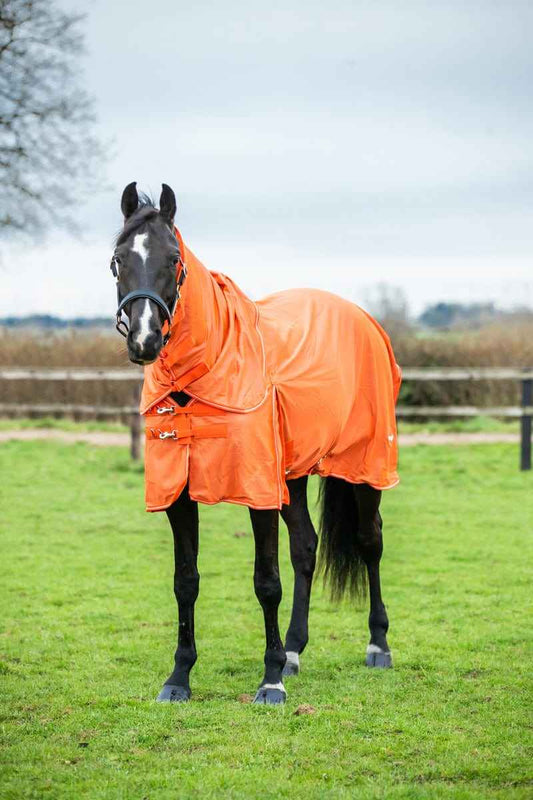 Mesh Fly Rug - Orange - Pet Supplier Store