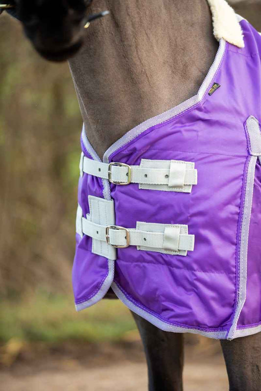 Mini 100g Stable Rug - Purple - Pet Supplier Store