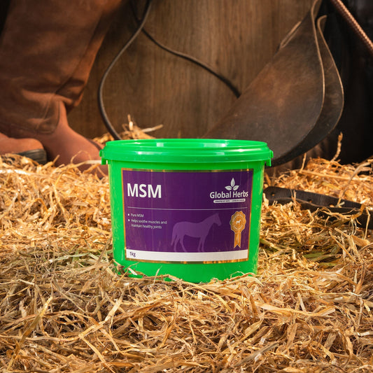 MSM 1kg - Global Herbs - Pet Supplier Store